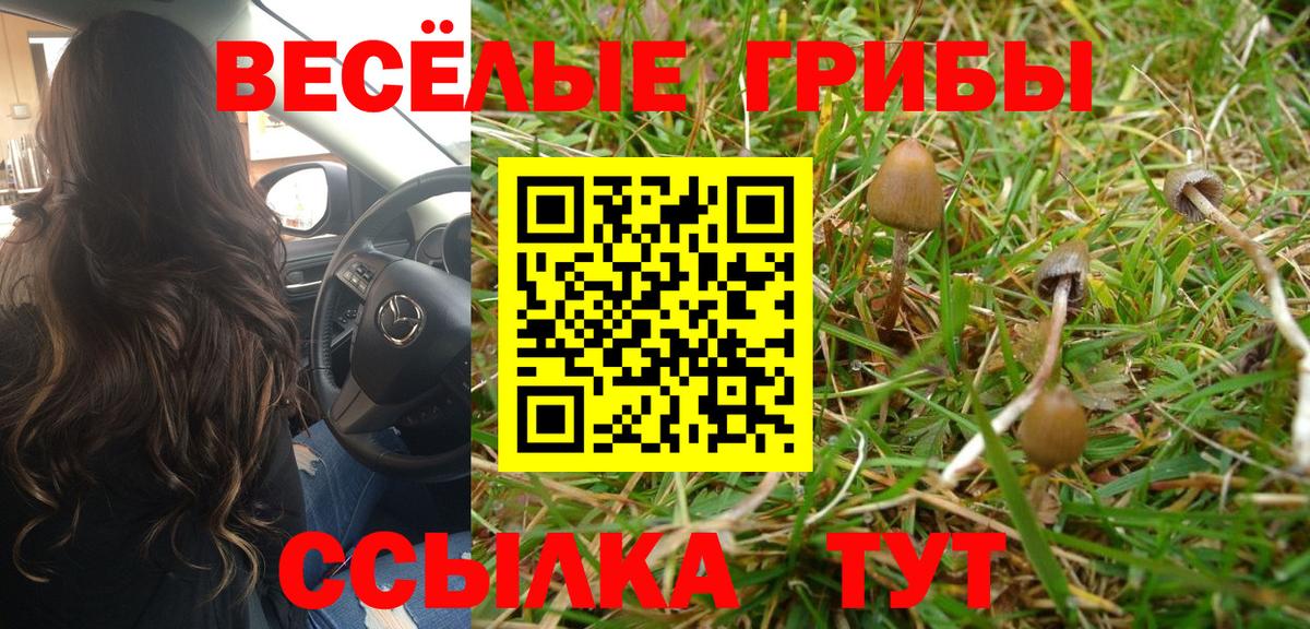 Псилоцибиновые грибы Psilocybe Батайск